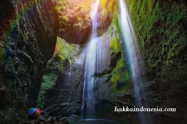 10 Fakta Wisata Alam